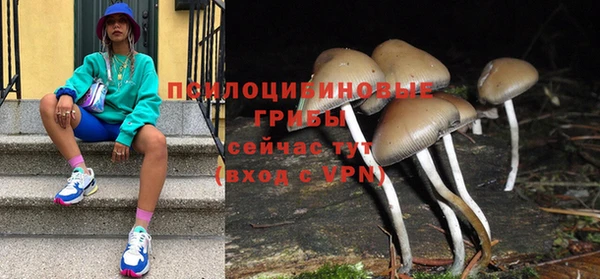 соль курить ск Алексеевка
