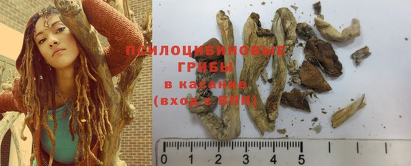 дмт Алзамай