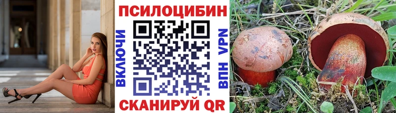 Псилоцибиновые грибы ЛСД  Андреаполь 